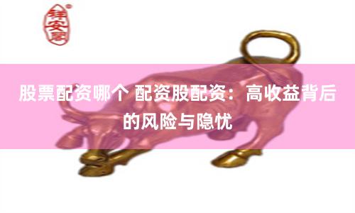 股票配资哪个 配资股配资：高收益背后的风险与隐忧